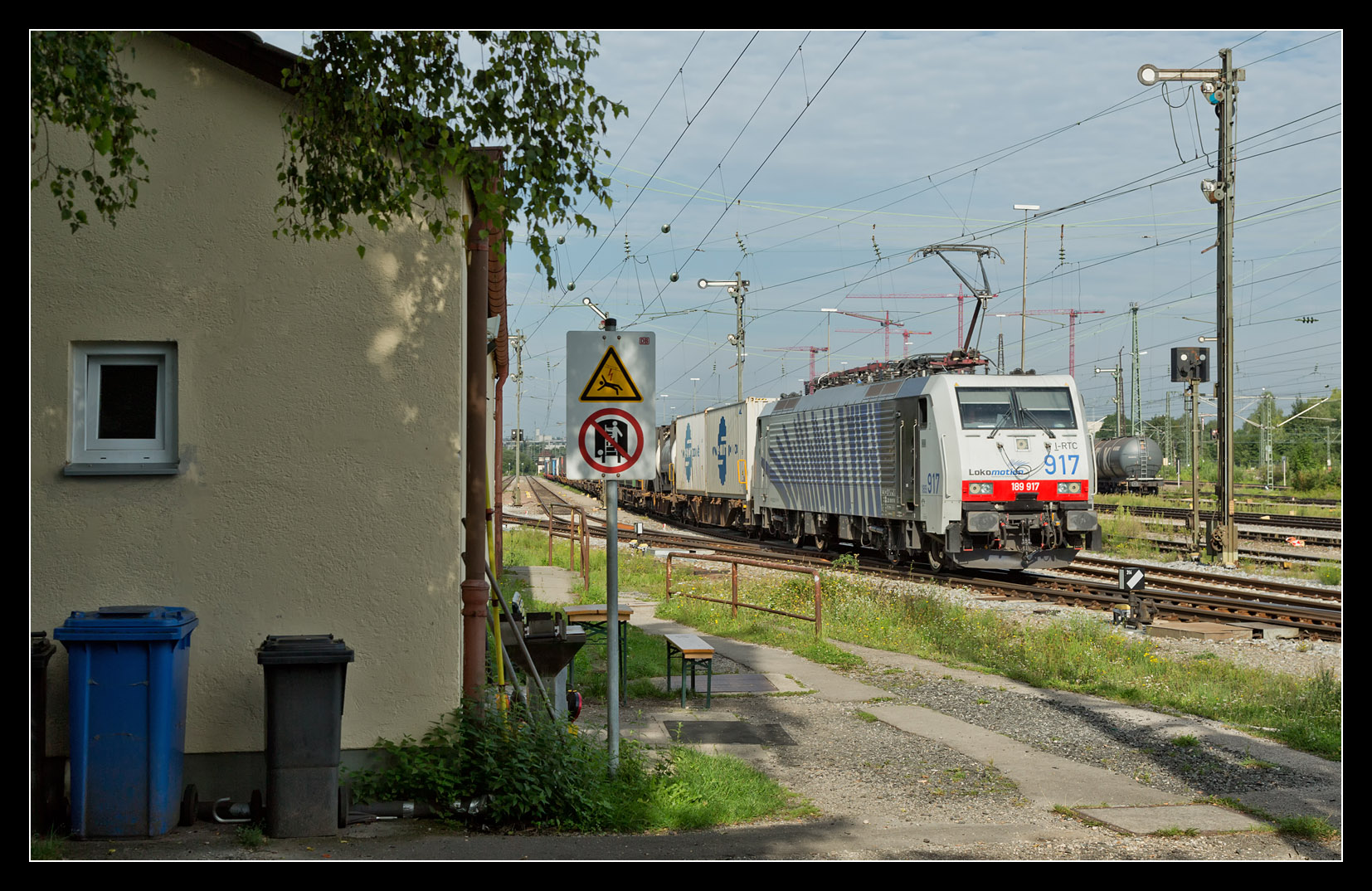 voralp311.jpg