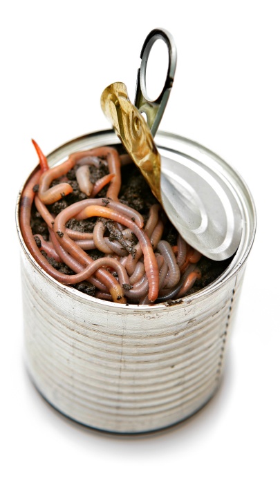 can-of-worms-764812.jpg